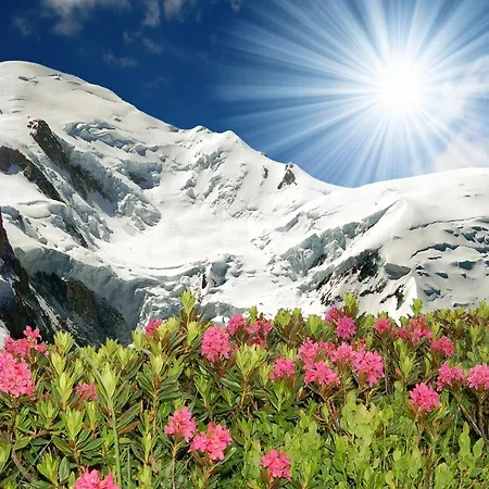 Sainte-foy-l'argentiere Sleeps 6 Апартаменти Шамоні
